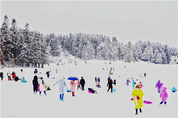 来自全国各地的游客，在雪地里尽情玩耍。通讯员 代娟 摄