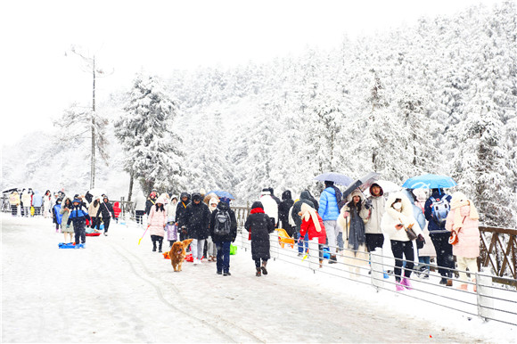 武隆仙女山冰雪游受到游客追捧。通讯员 代娟 摄