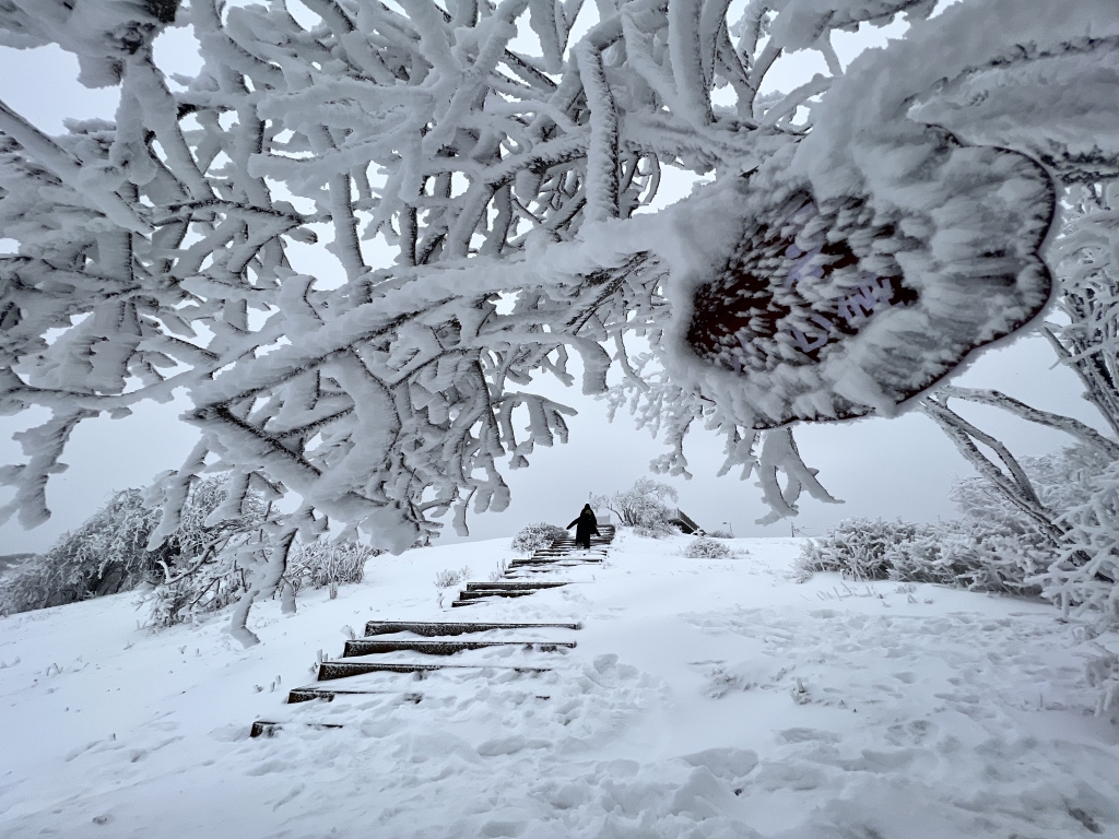 巫溪红池坝雪景图片