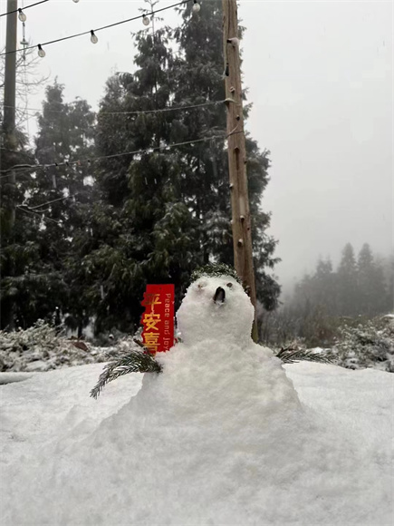 来自渝北的大雪人。渝北区委网信办供图 华龙网发。
