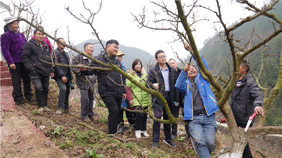 龚教授指导种植户晚李冬技术。通讯员 王纹漪 摄