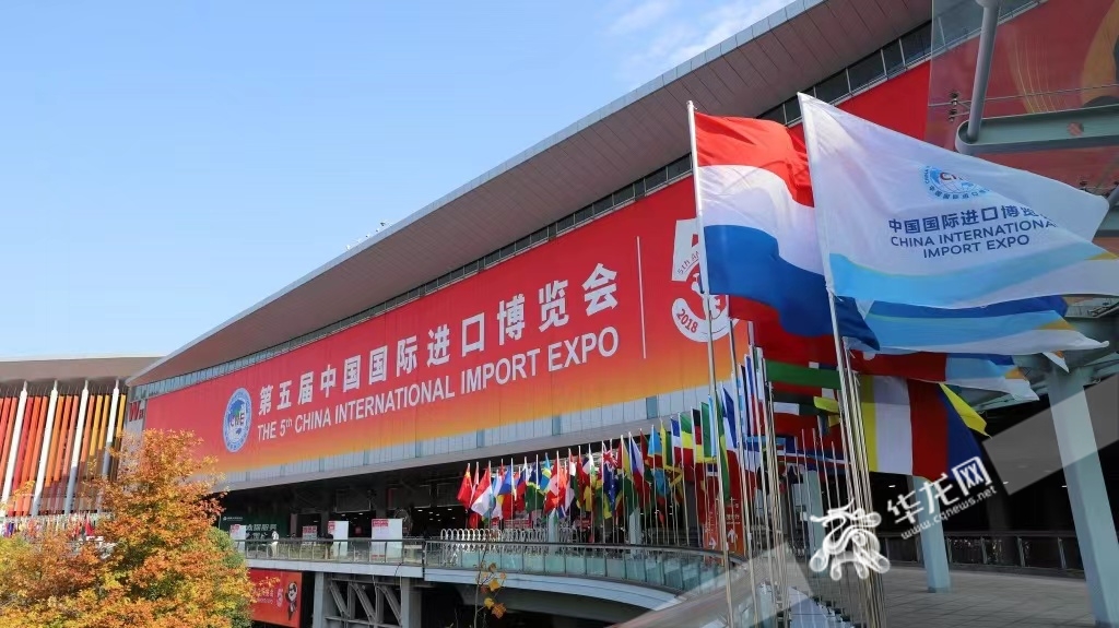 第五届中国国际进口博览会 华龙网-新重庆客户端记者 陈毅 摄
