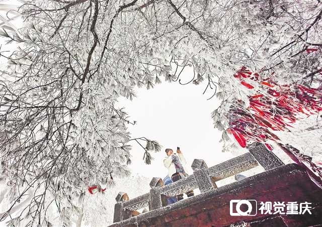 重庆中心城区下雪了！ 时隔7年主城再度飘雪，市民纷纷踏雪赏雪