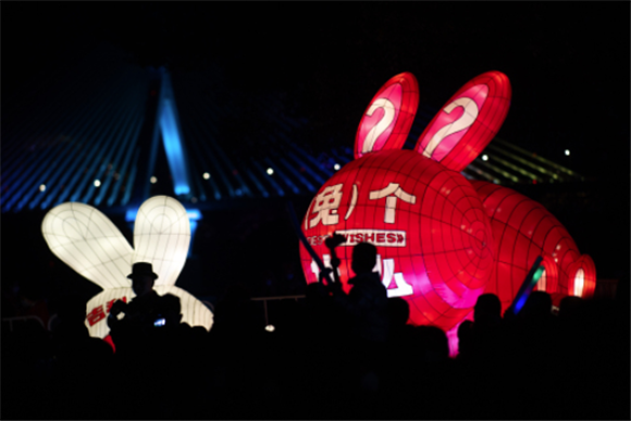 1月19日，游客在宜昌市新春灯会上观赏彩灯。新华社记者 肖艺九 摄