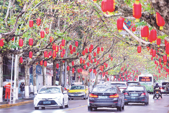白岩路，一串串红红火火的灯笼挂满树梢。记者 付作侨 摄