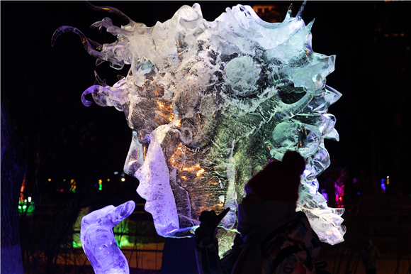 游客在哈尔滨冰灯艺术游园会园区内观赏冰雕。新华社记者 张涛 摄