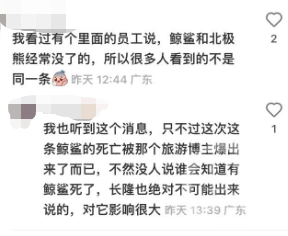 网传珠海长隆海洋王国最大鲸鲨死亡？客服：暂未收到通知3