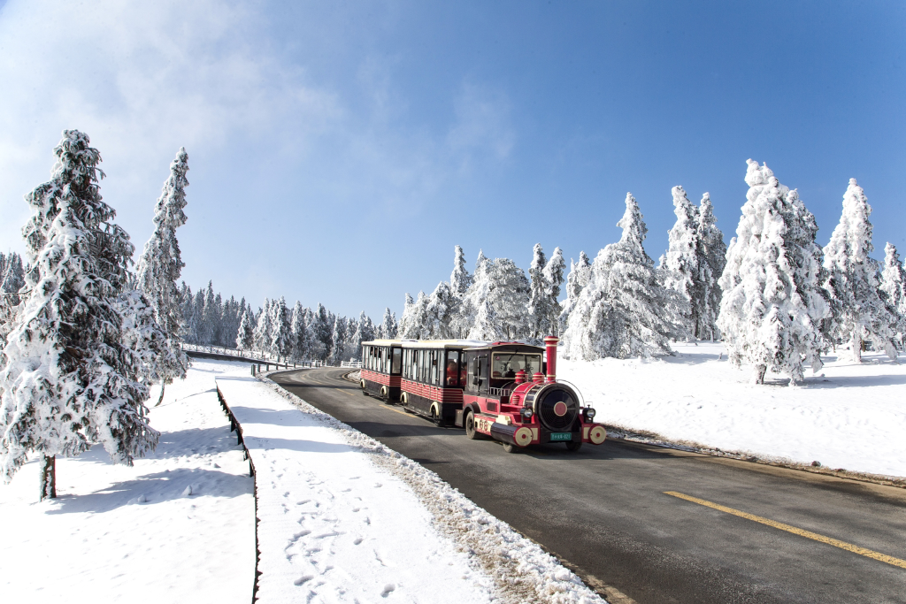 仙女山景区雪景美如画。景区供图