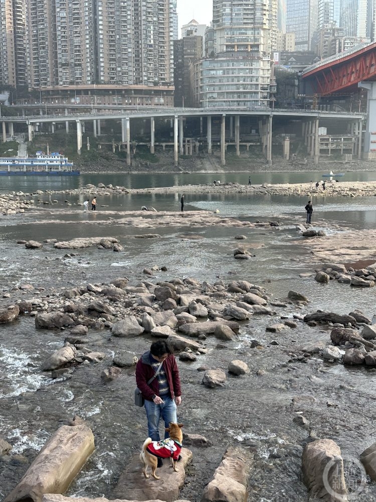北滨路多了一处“江边瀑布” ，这是怎么回事？4
