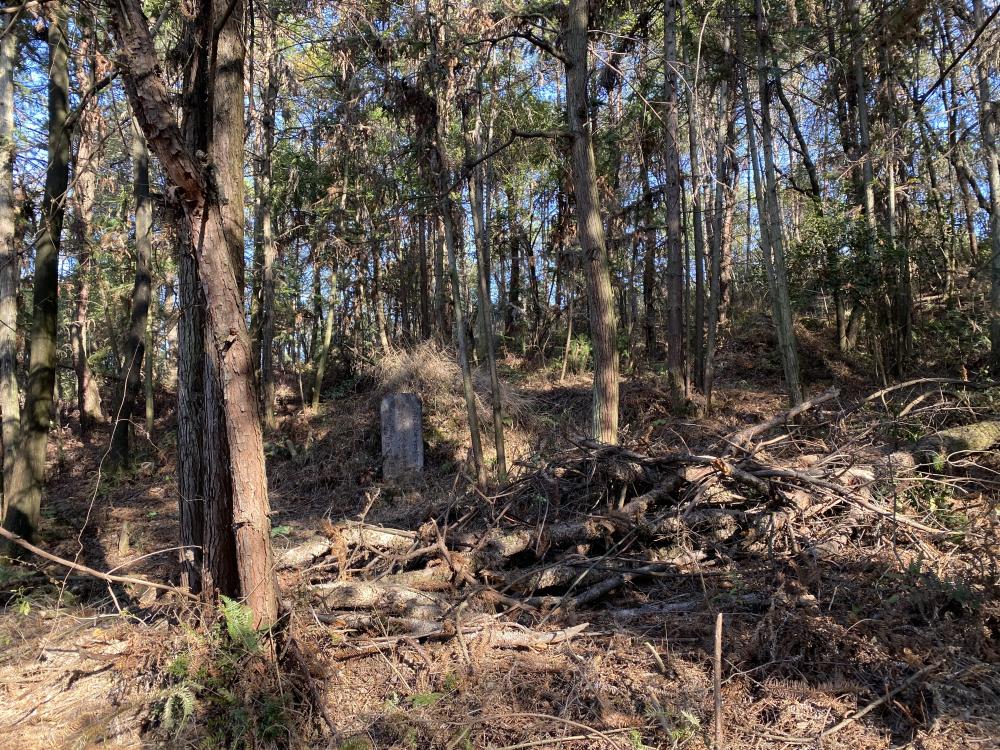 胡鑫宇遗体在山林一仓库附近被找到,搜寻人员称地方偏不易发现4