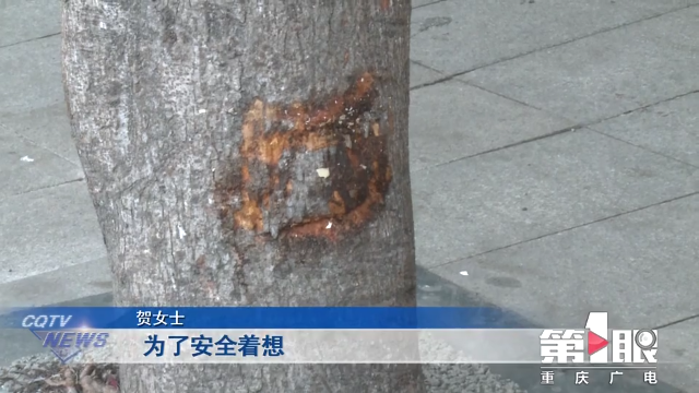 车主报警“爱车不见了” 路人报警“车辆撞人了”5