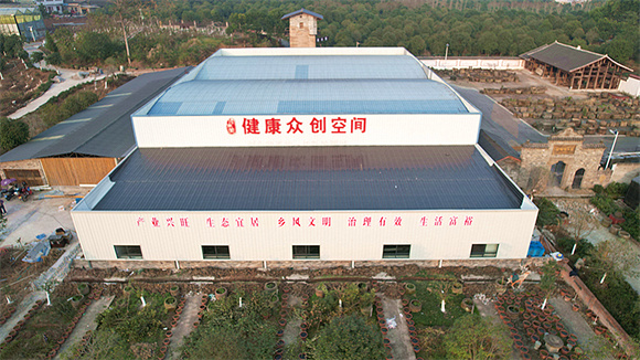 新民镇特色中药材产业（仙草园）。垫江县委宣传部供图 华龙网发