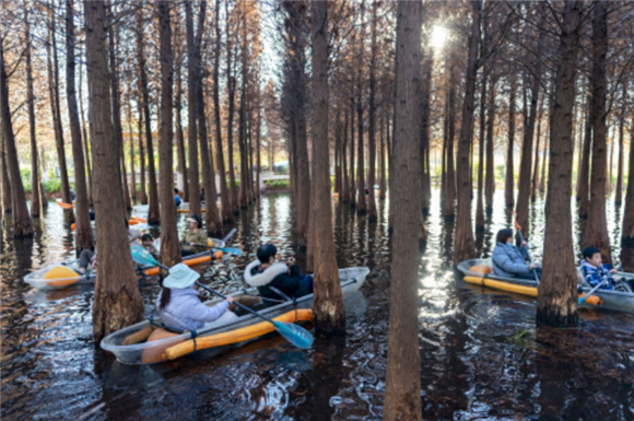 1月5日，游客在海洪湿地公园里划船。新华社记者 陈欣波 摄