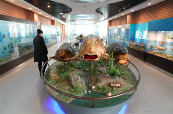1月9日，参观者在抚远市鱼博馆参观。新华社记者 王建威 摄