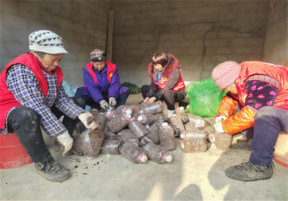南峰村村民在装菌袋。通讯员 贺蓉 摄