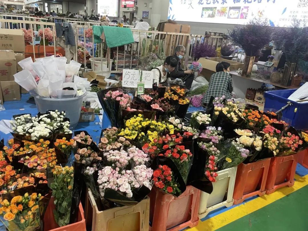 “双节”来临，鲜花走俏！这种花卖爆了1