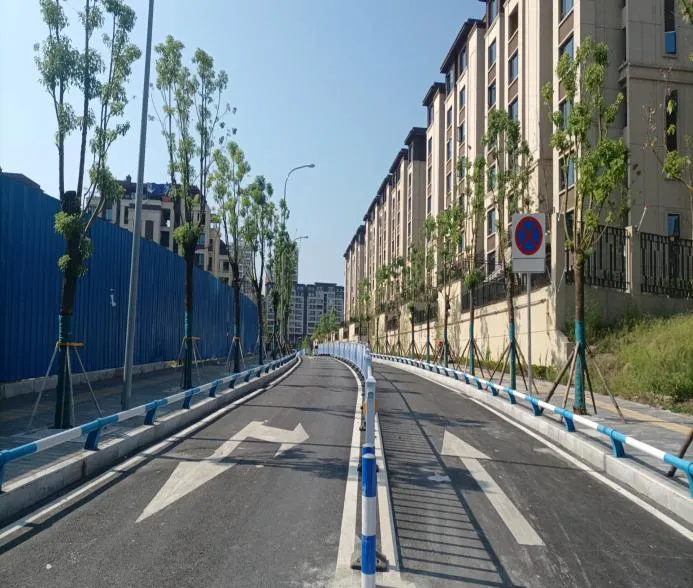 巴南：4条市政道路建成投用 提升周边通行效率