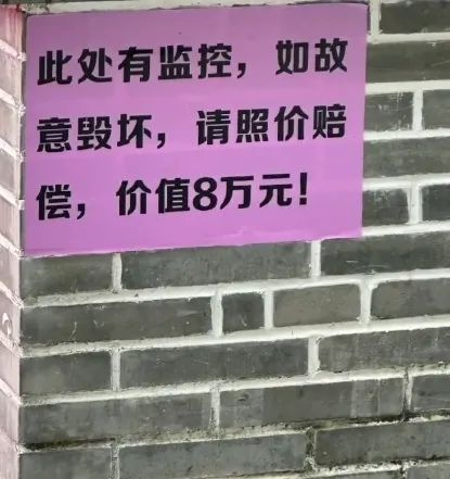 广东肇庆充气兔子值8万？官方回应2