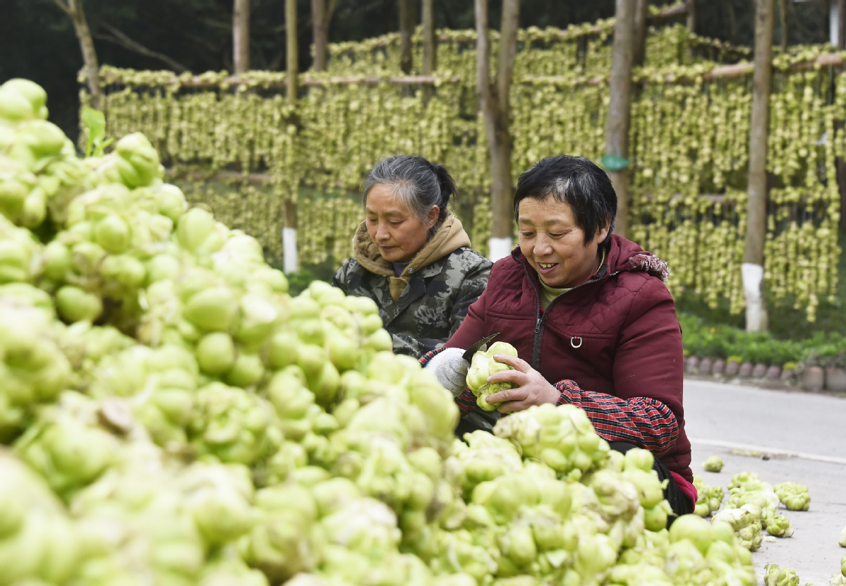 高质量发展调研行 | 智能化生产强力支撑 “国民下饭菜”产能提高近10倍3