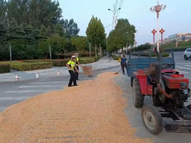 驻马店农民晒粮不占主干道被点赞，交警回应2