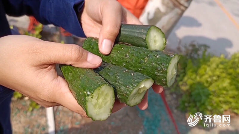 辅警执勤发现风筝线紧急喊停路人4