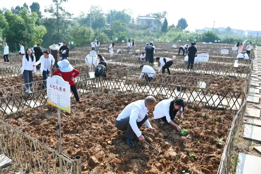 留学生参与耕作。潼南区委宣传部供图 华龙网发