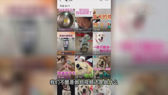 她来听我的演唱会，和导盲犬一起3