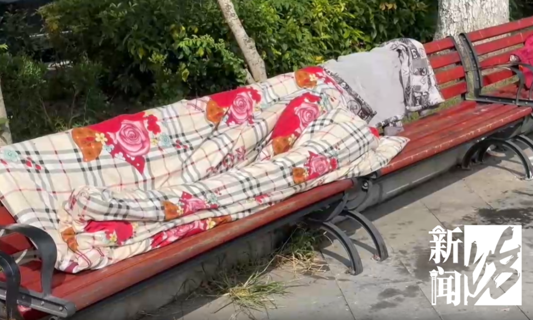 为给儿子还赌债，上海七旬阿婆5月至今露宿小区拒绝去养老院2