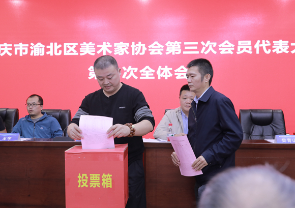会员代表投票