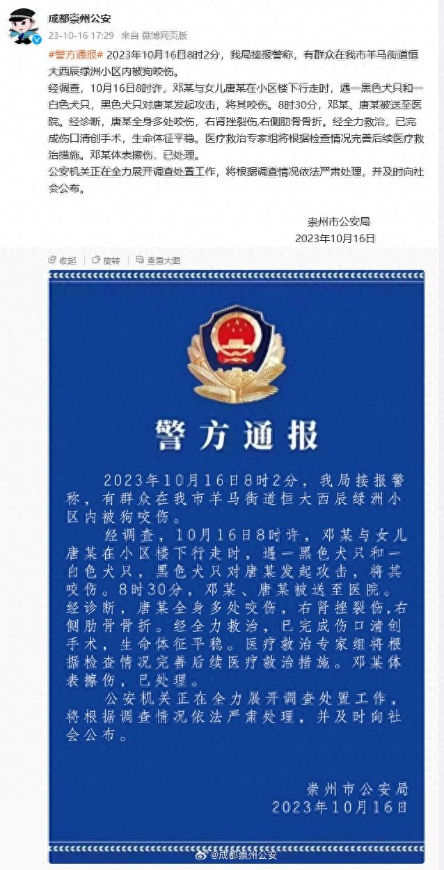 新进展！成都2岁女童遭未拴绳烈犬撕咬，警方称已发现咬人黑狗踪迹：已经发现它的行踪，稍等一会有最新通报3