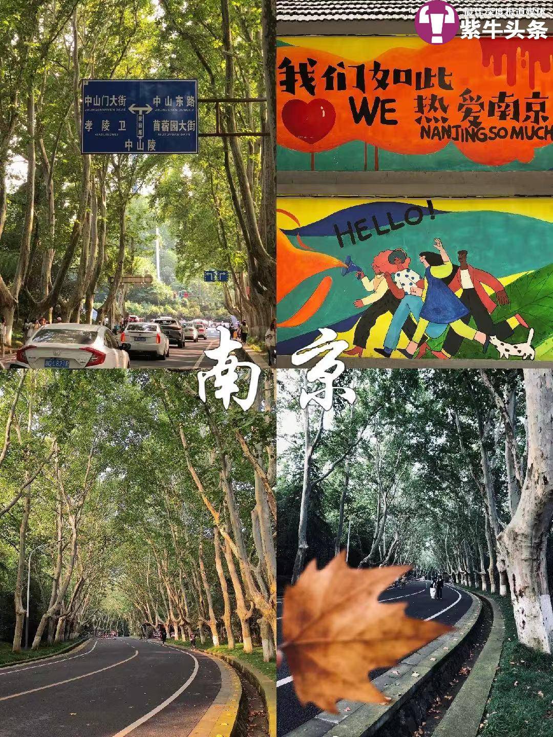 40天花9600元游17城，小伙毕业旅行太酷：这是18岁最美的底片4