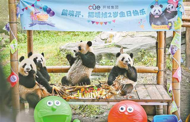 图片1