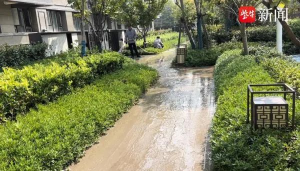 业主私挖地下室竟挖通河道？官方通报2