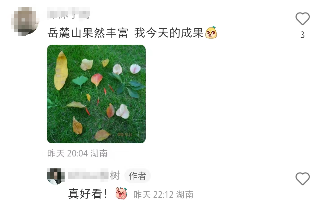 捡落叶走“心越线”，岳麓山捡秋火了！长沙人：这又是什么新名堂？8