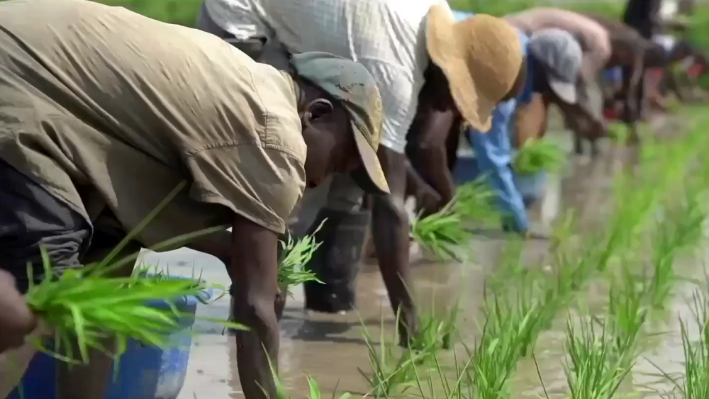 共建“一带一路”十周年大型政论片｜大道无垠5