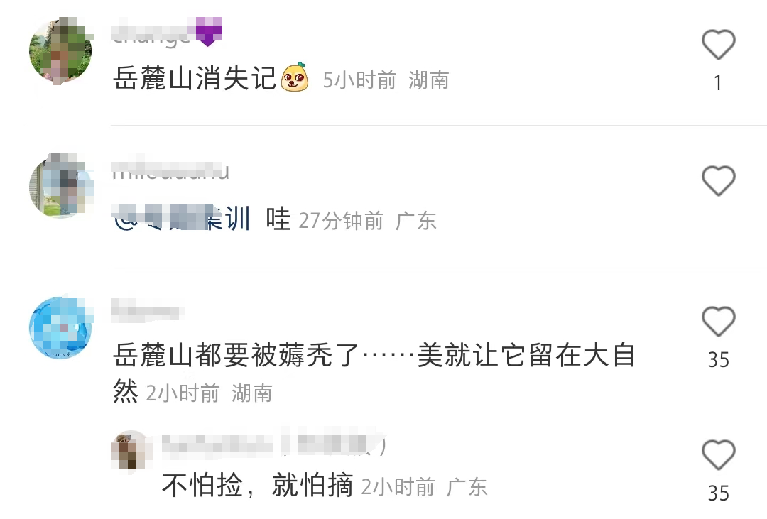 捡落叶走“心越线”，岳麓山捡秋火了！长沙人：这又是什么新名堂？11