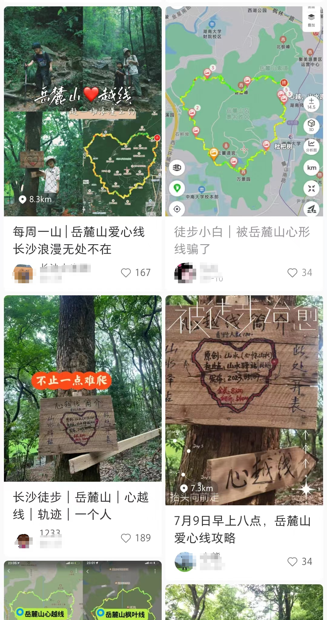 捡落叶走“心越线”，岳麓山捡秋火了！长沙人：这又是什么新名堂？7