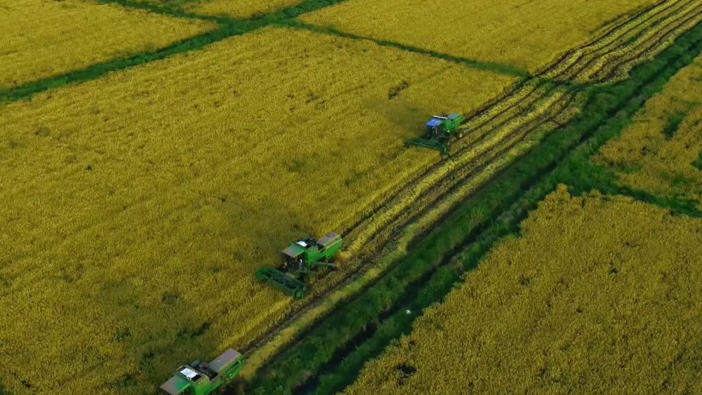 共建“一带一路”十周年大型政论片｜大道无垠4