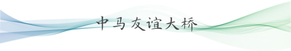 卫星视角看“一带一路”项目7