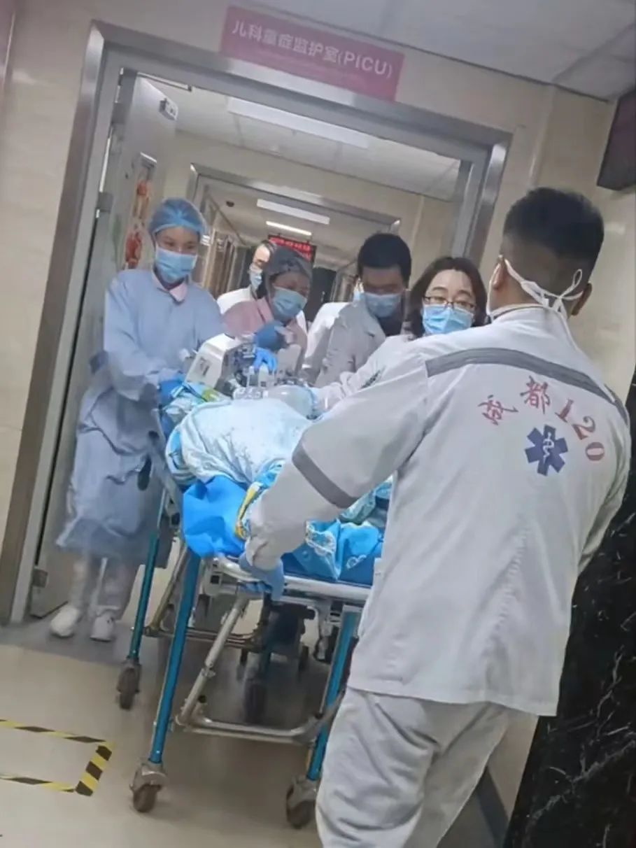 四川崇州被咬伤女童仍昏迷，母亲：涉事黑狗已找到1