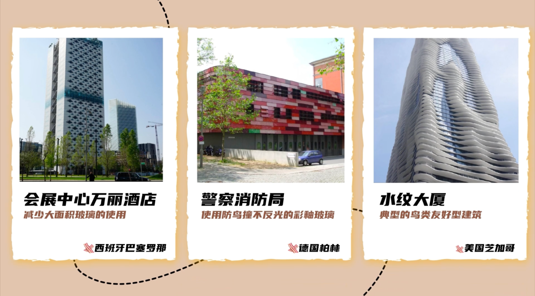 多只小鸟撞死后，腾讯给总部大厦“贴膜”！为何鸟类看不到玻璃？3