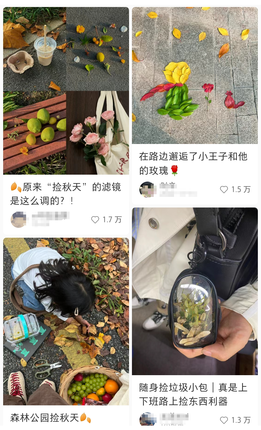 捡落叶走“心越线”，岳麓山捡秋火了！长沙人：这又是什么新名堂？1