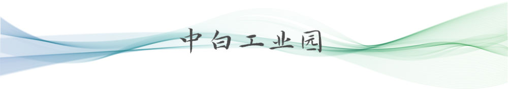 卫星视角看“一带一路”项目15