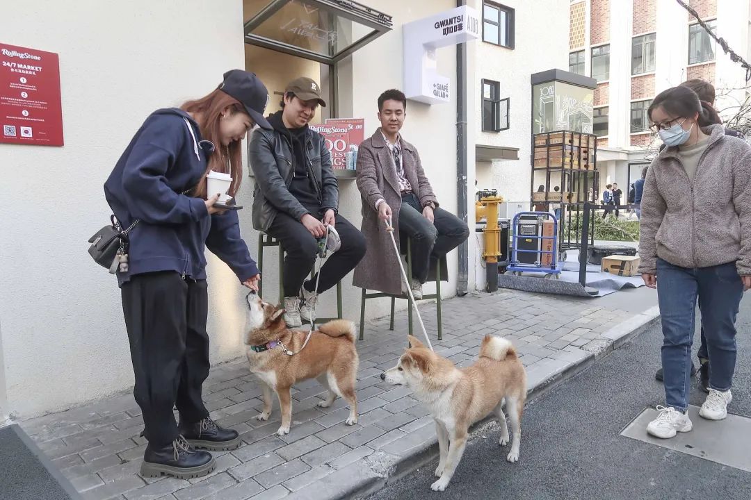 四川宠物协会人士：建议养犬前先考试2