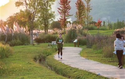 双桂湖国家湿地公园，市民在一边锻炼一边赏秋色。记者 熊伟 摄