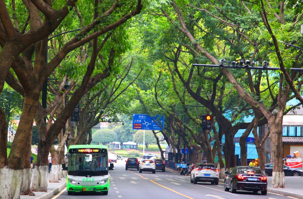 今年重庆中心城区已新开轨道接驳线路24条。重庆交通开投集团供图
