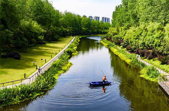 《绿水行舟护河道》2022年5月拍于南岸茶园长生河