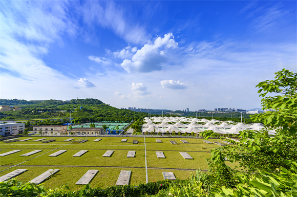 《绿水卫士》2022年5月拍于重庆规模最大的污水处理厂：鸡冠石污水处理厂