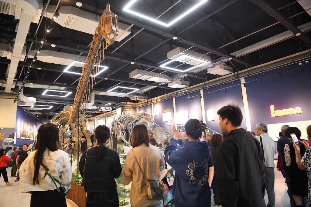 潼南博物馆恐龙化石展厅人头攒动。潼南区委宣传部供图
