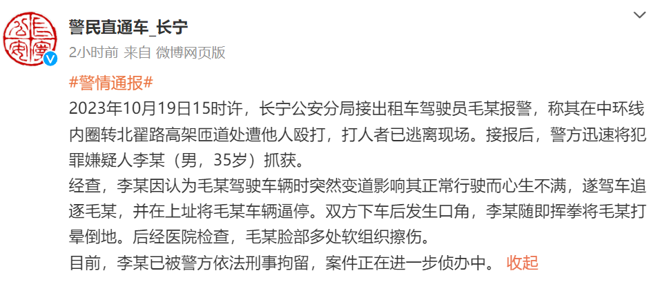 上海高架“拳王”打晕变道司机2